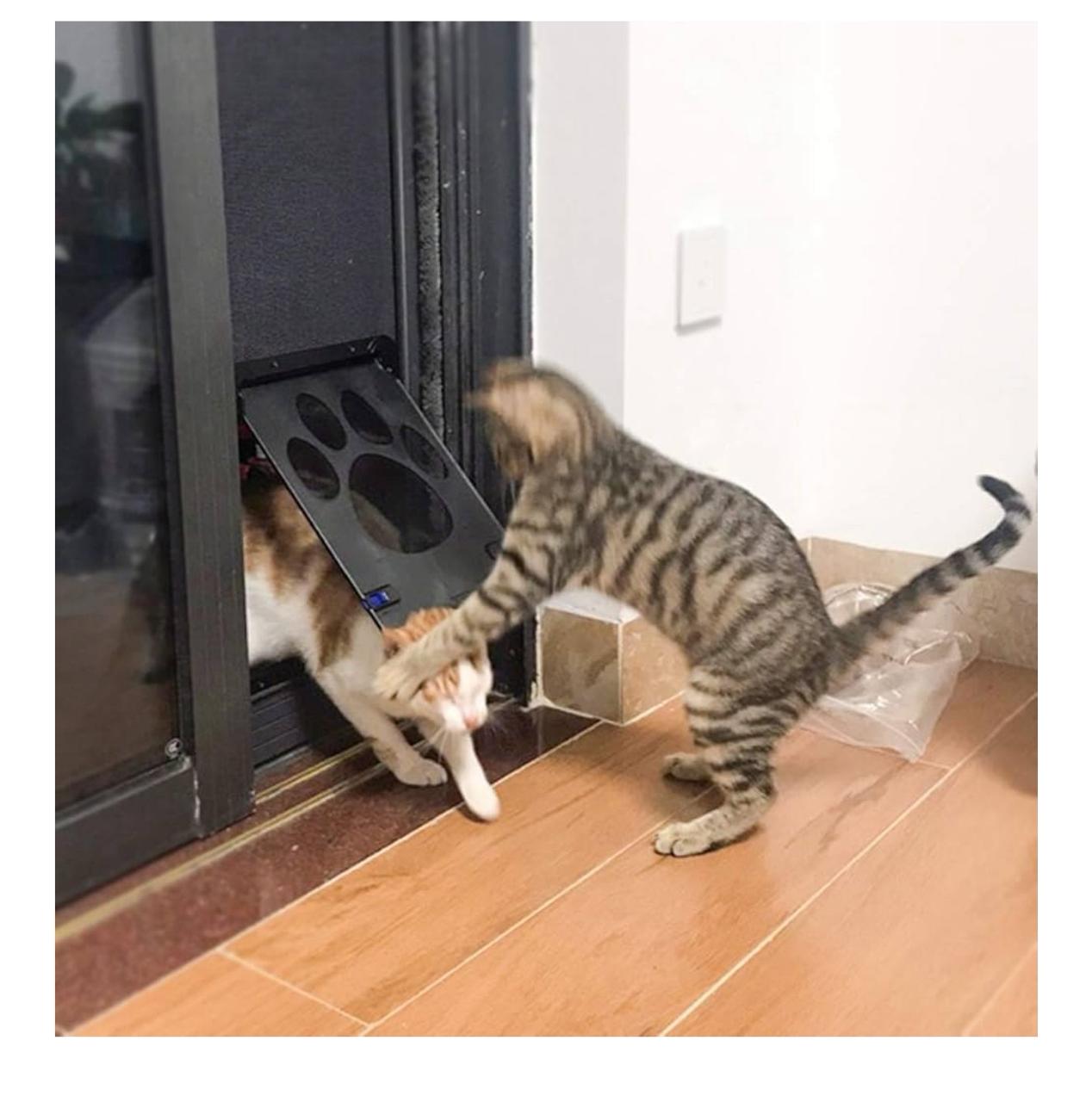 Pet Door Screen with Paw Print Design, Black Mesh Ventilation Panel, Dog Cat Flap